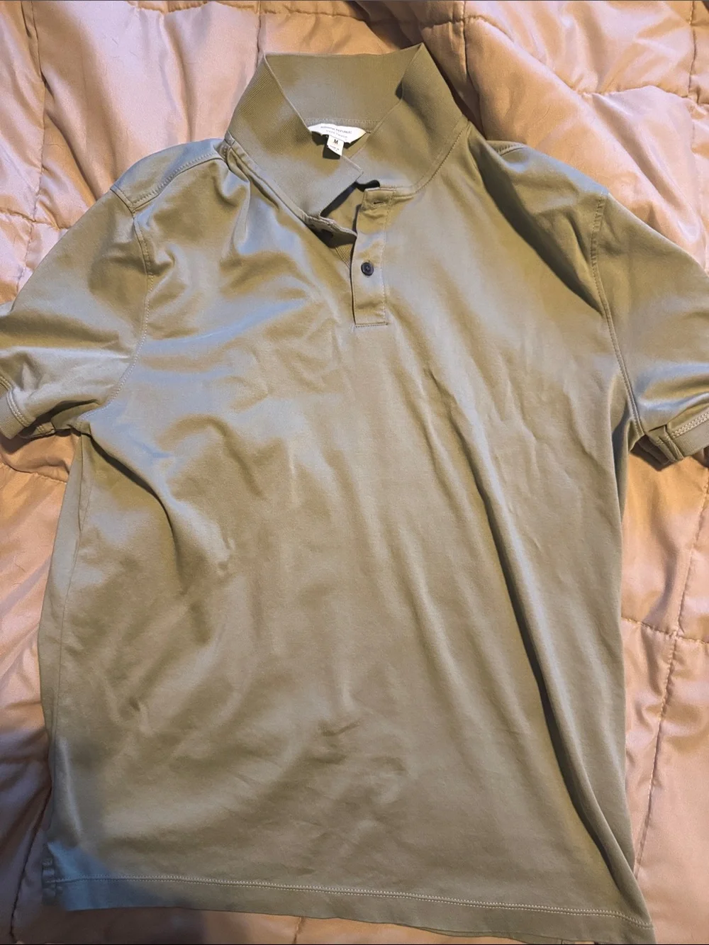 Banana Republic Men's Polo in Sage Green